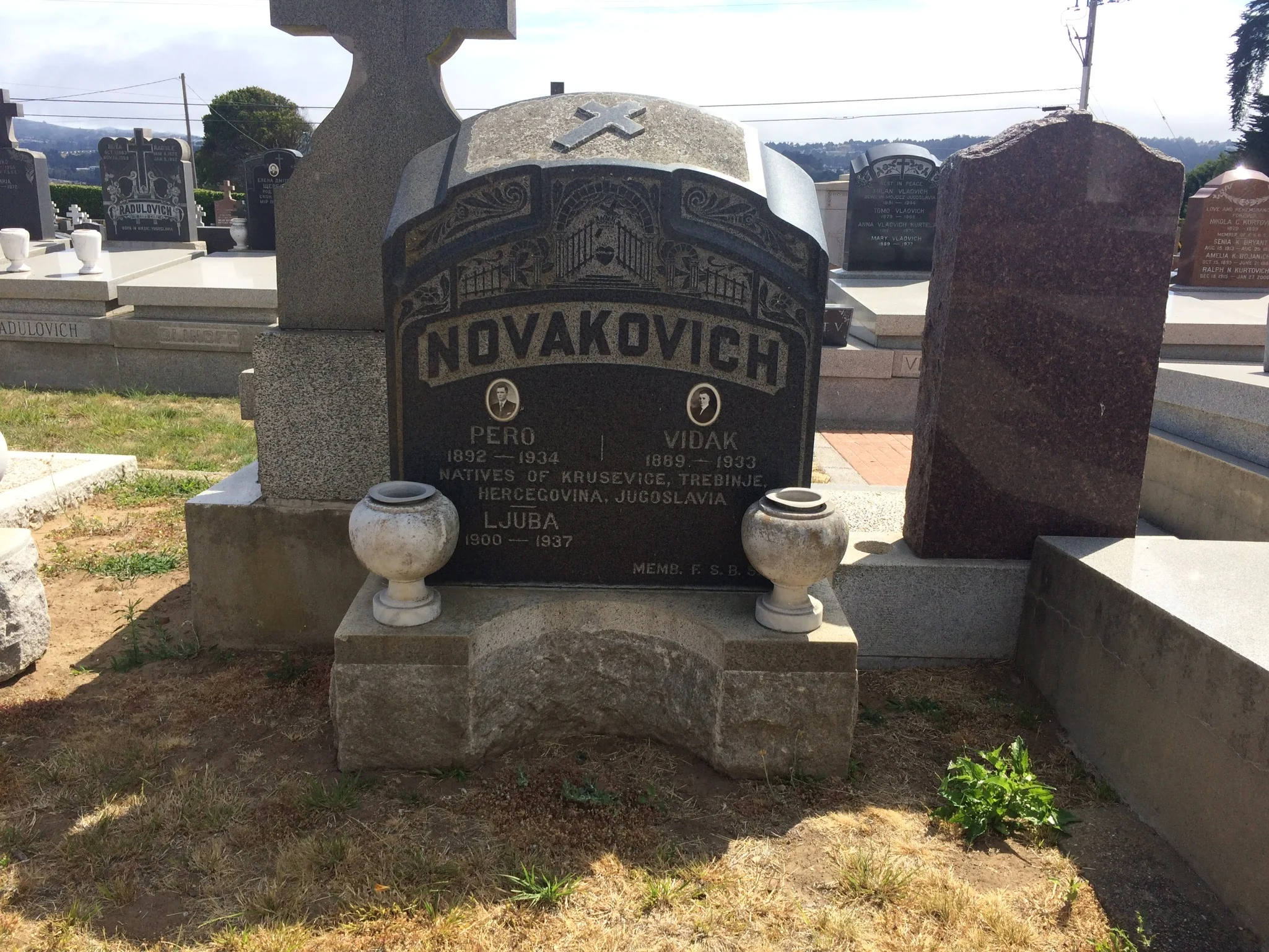 Pero Novakovich
