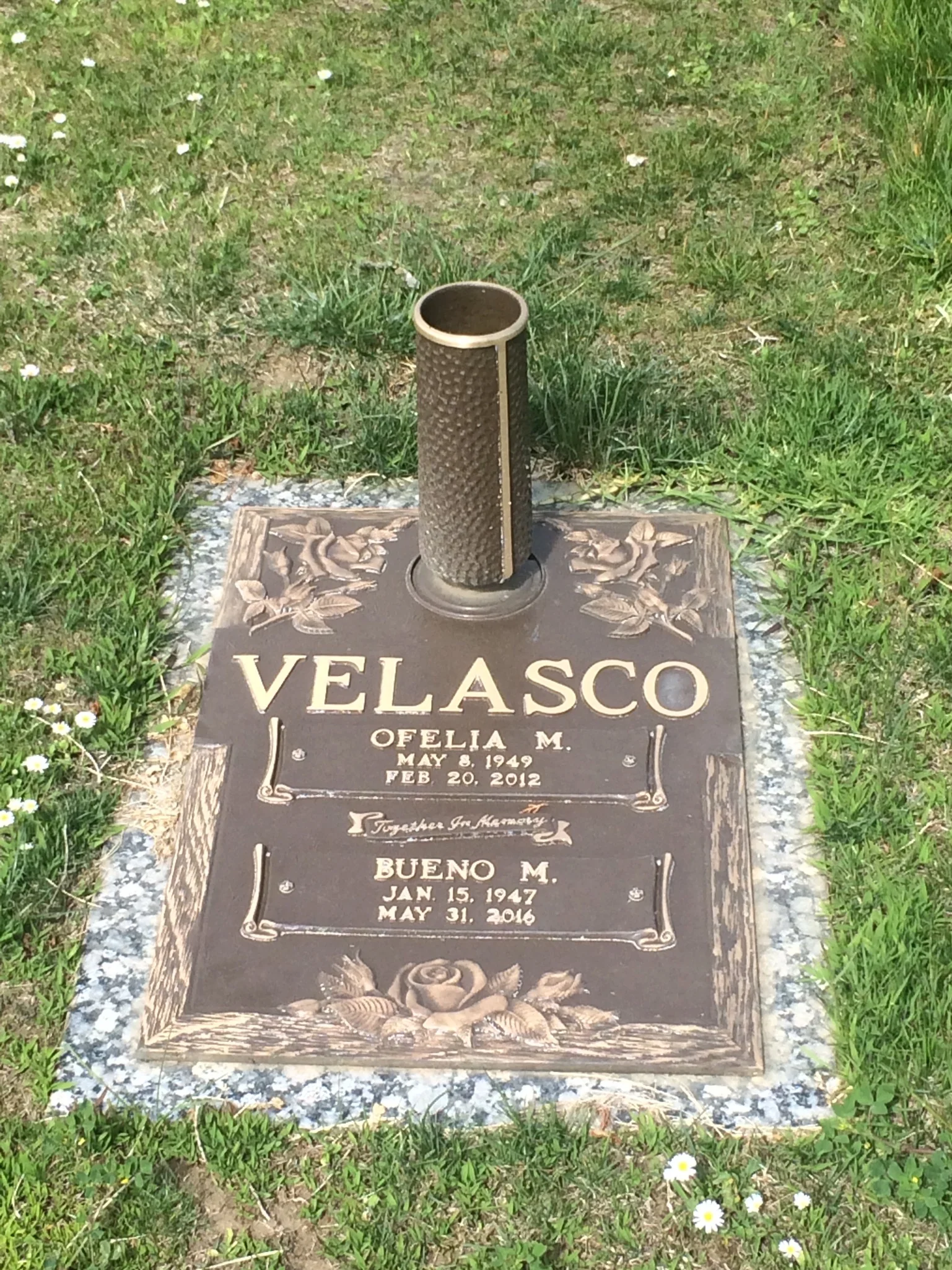 Ofelia Velasco
