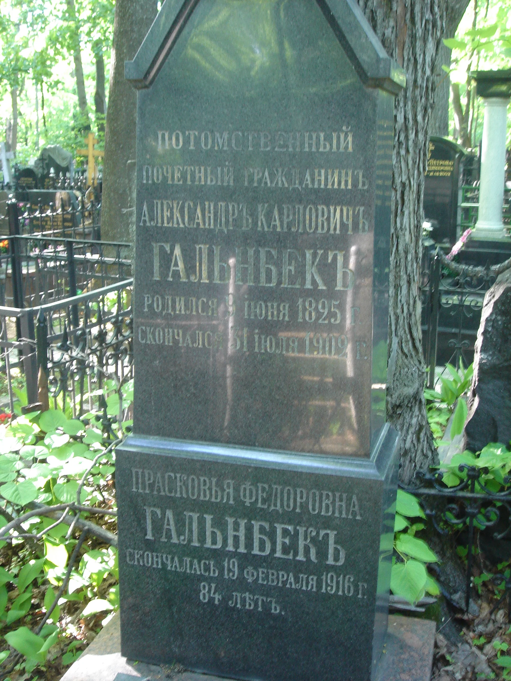 Alexander Galnbek