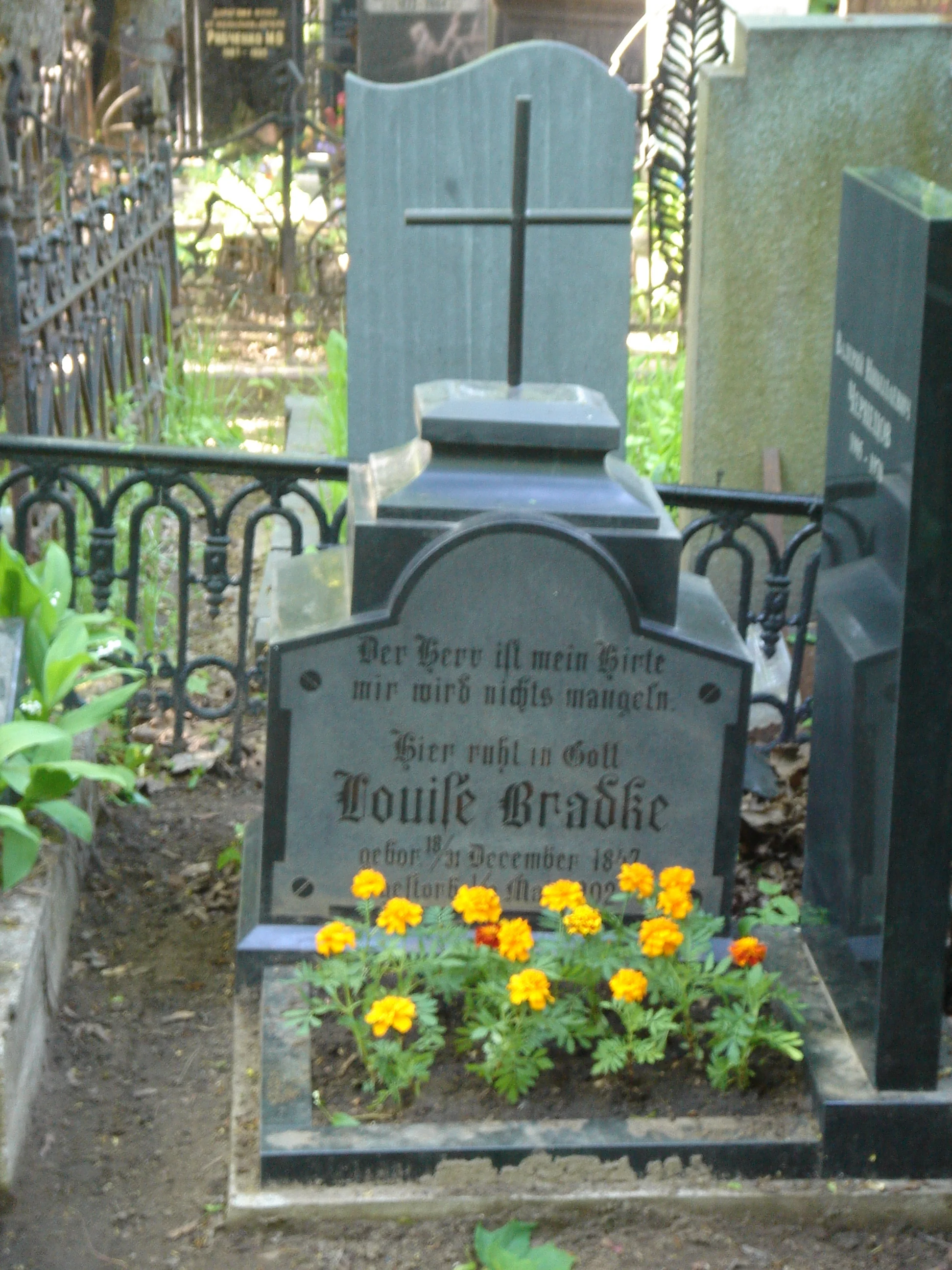 Louife Bradke