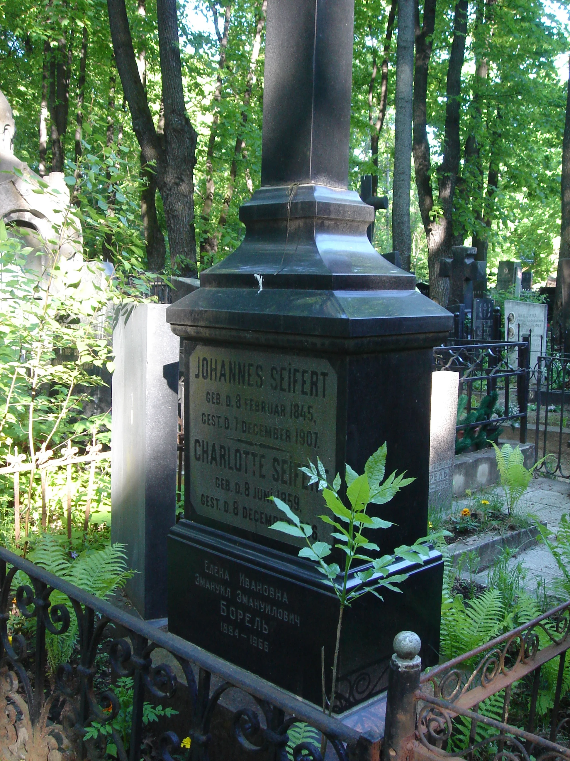 Johannes Seifert