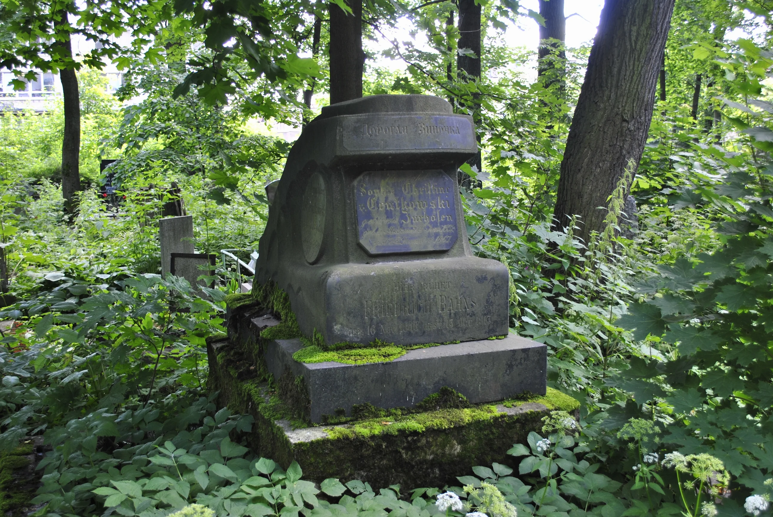 Friedrich Bahns