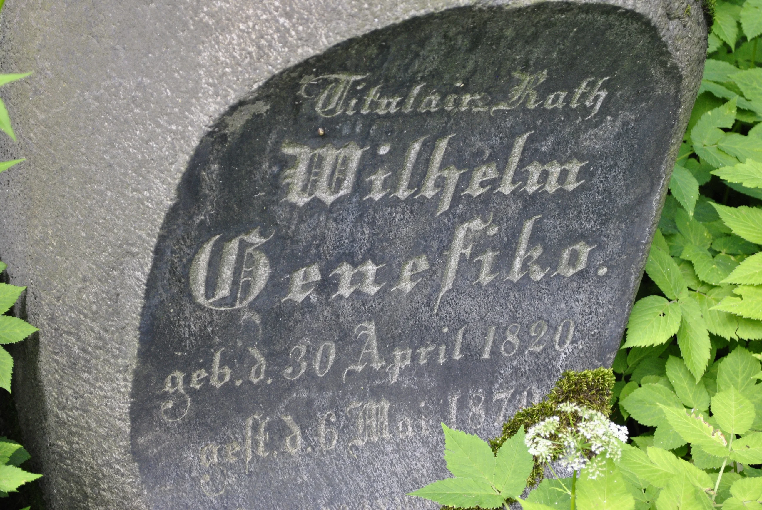 Wilhelm Benefiko