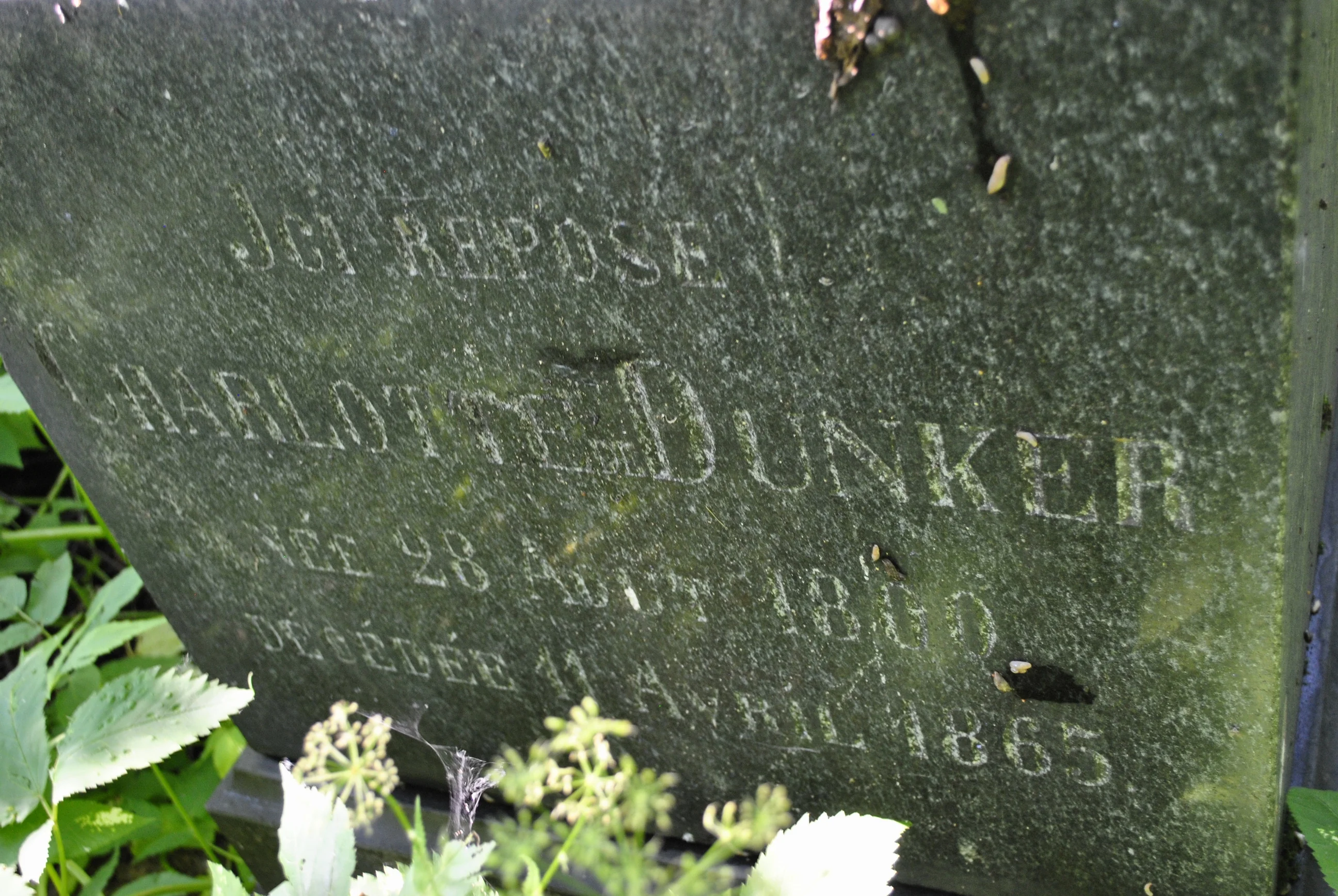 Charlotte Dunker