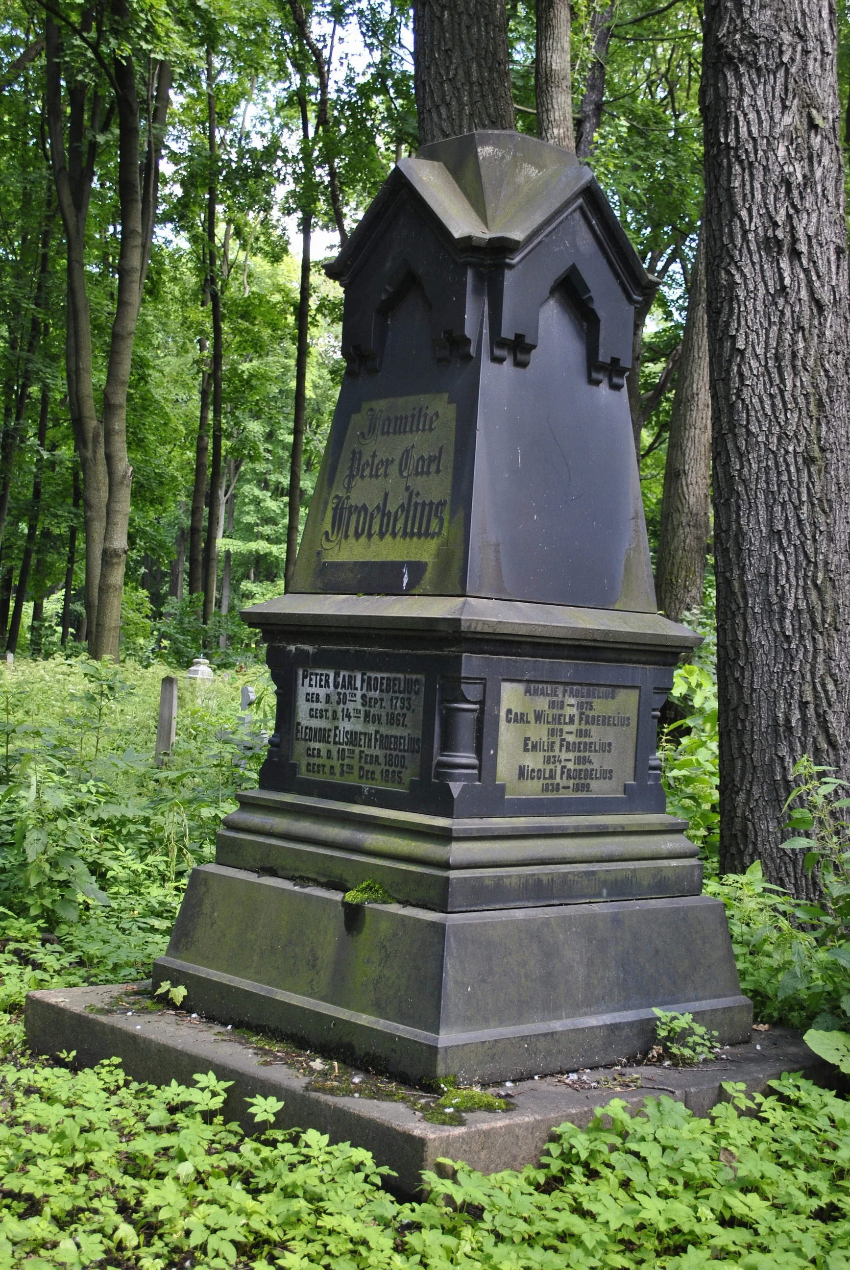 Peter Carl Froebelius