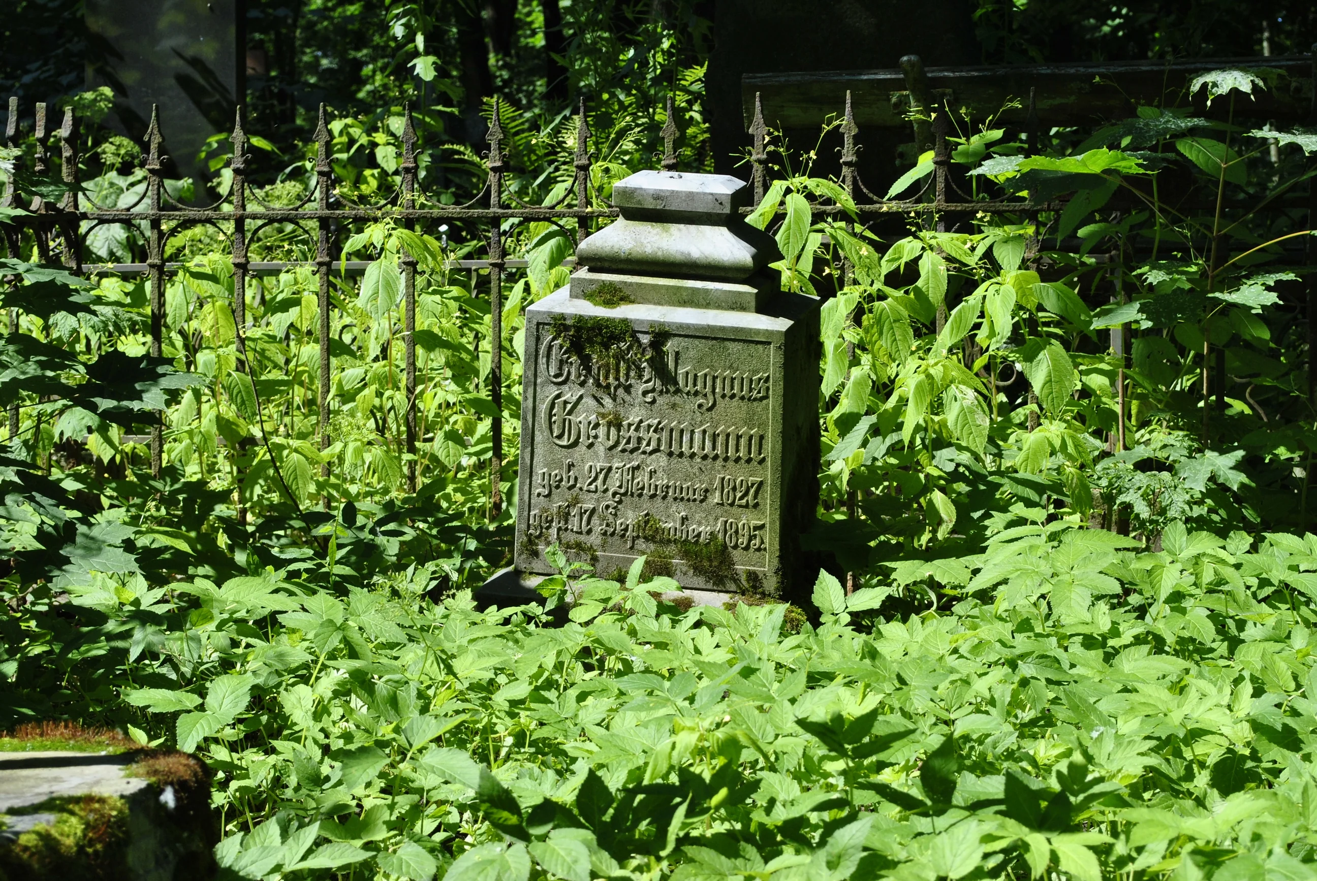 Carl Magnus Grossman