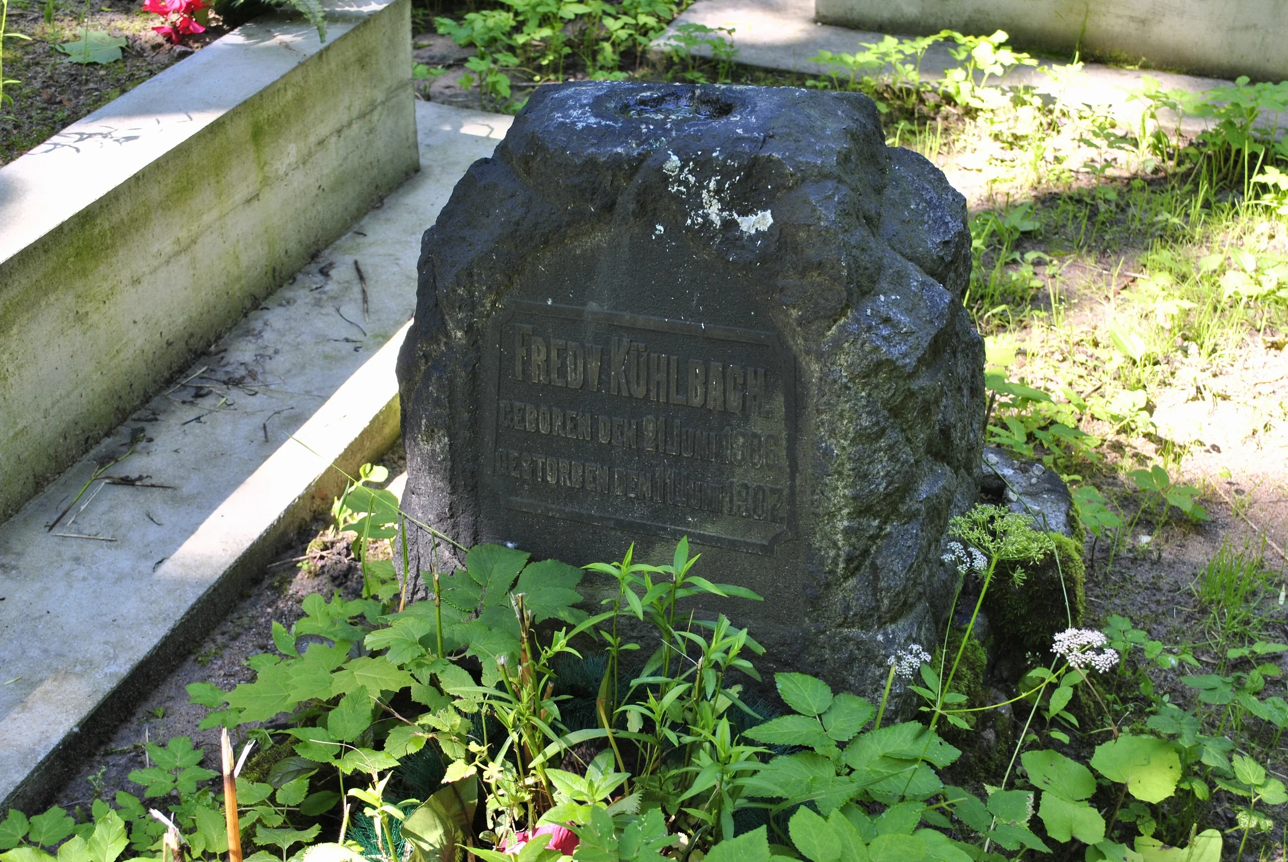 Fredv Kuhlbach