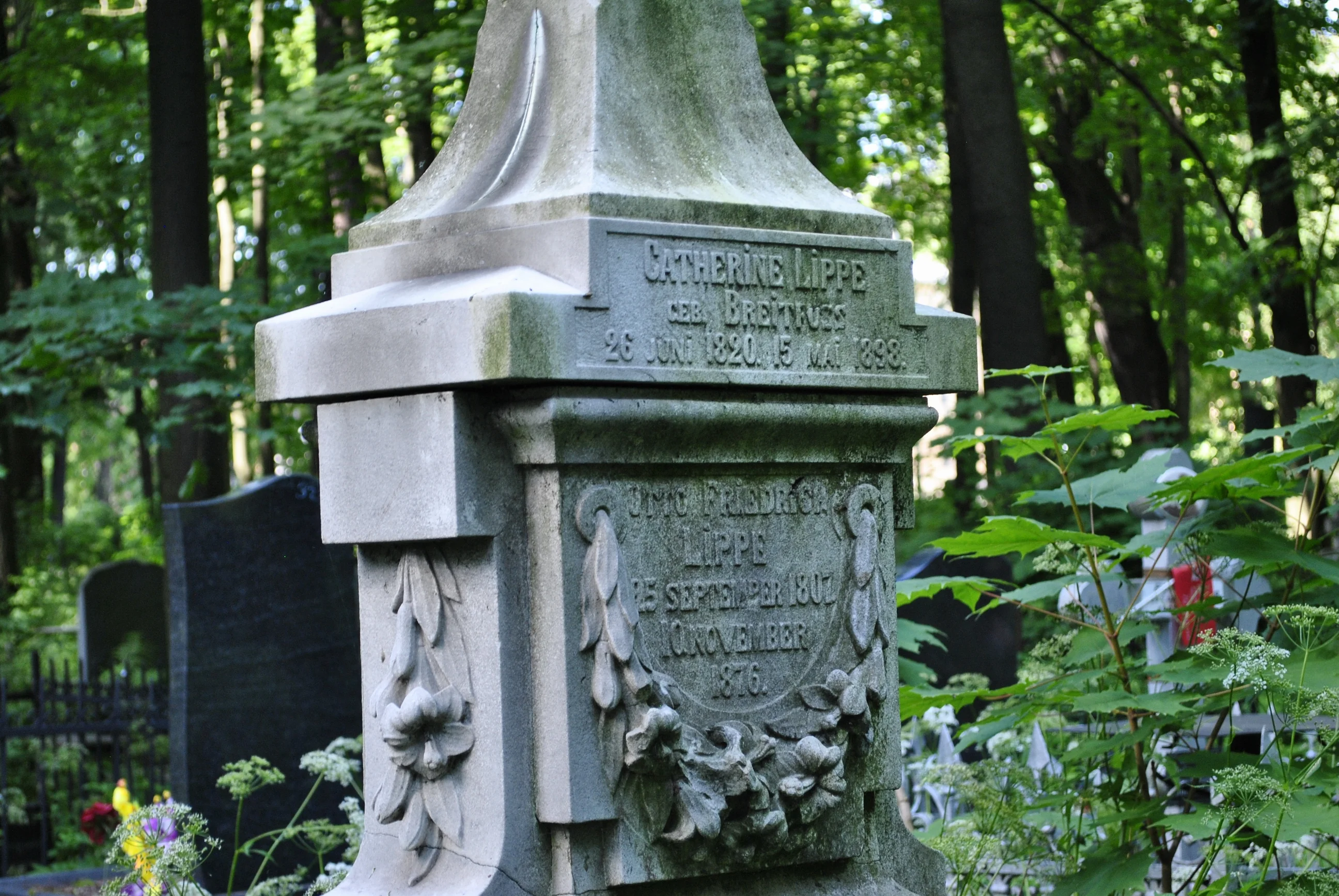 Catherine Lippe (Breitfuss)