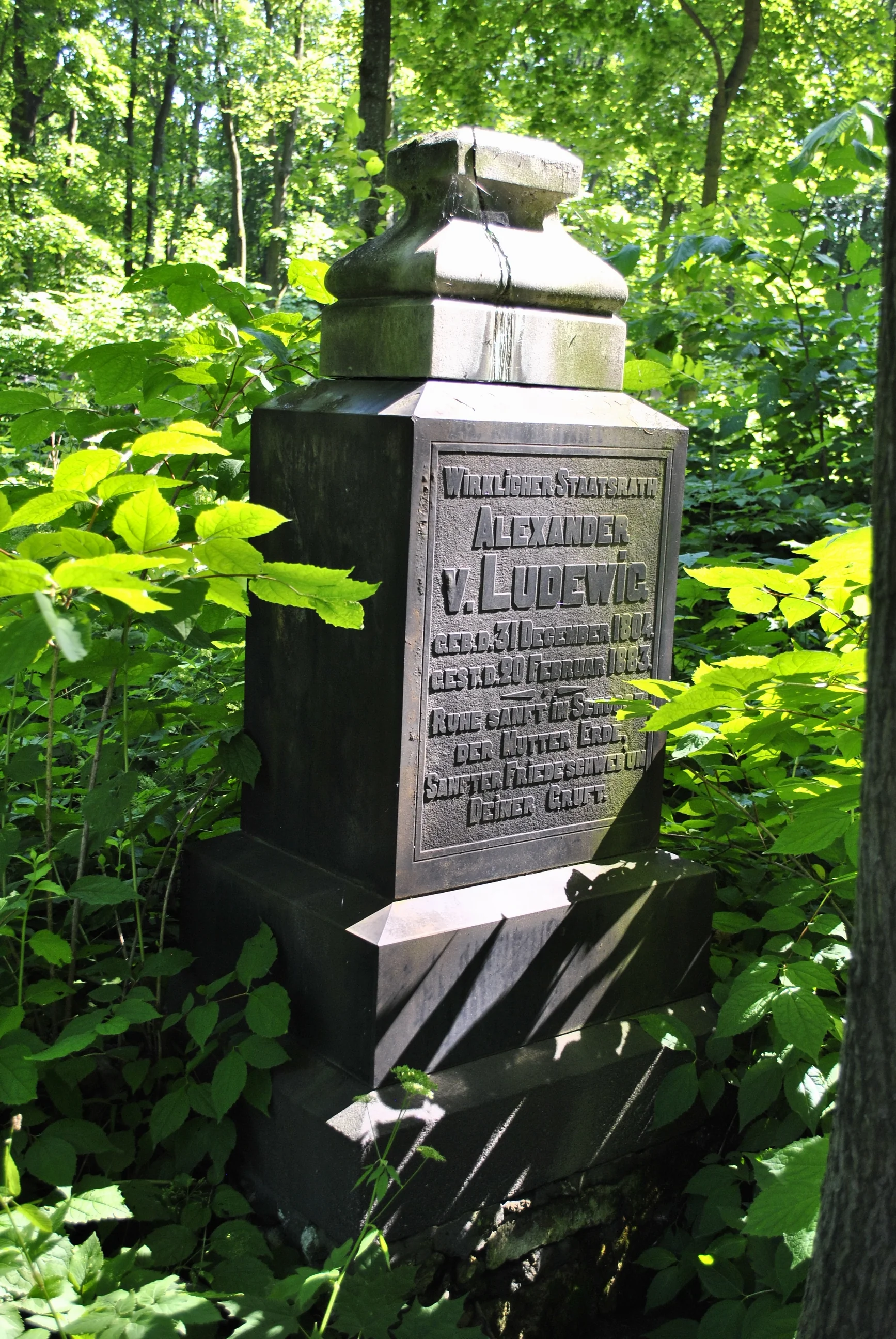 Alexander Ludewic