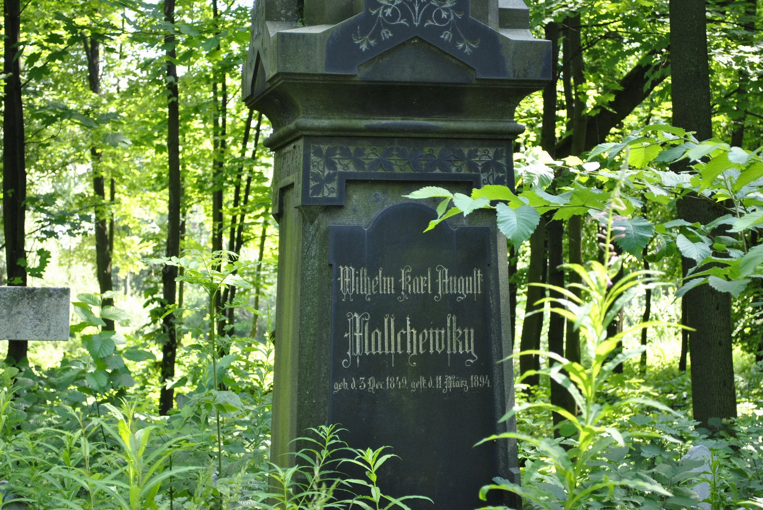 Wilhelm Karl Mallchewsky