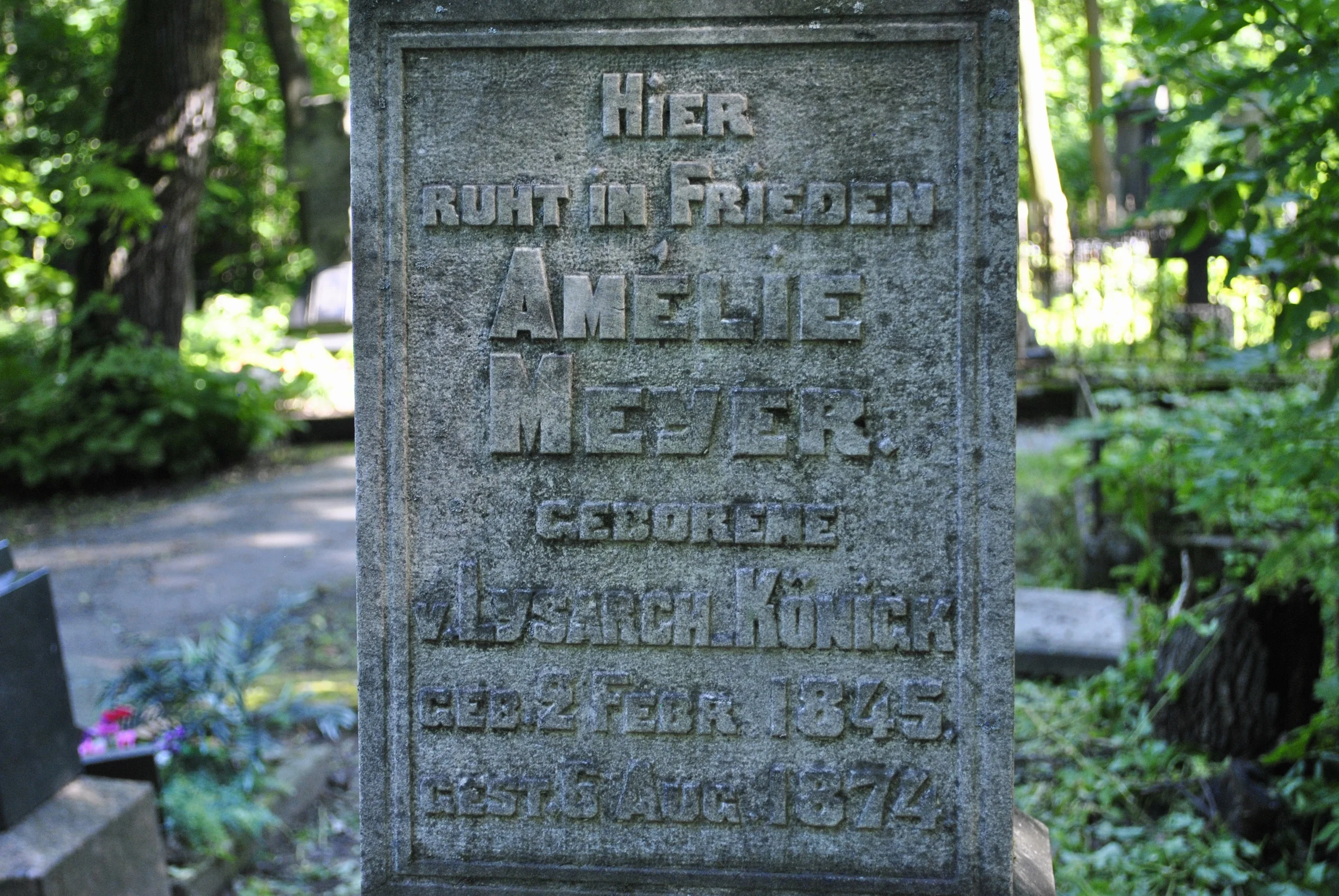 Amelie Meyer (Konick)