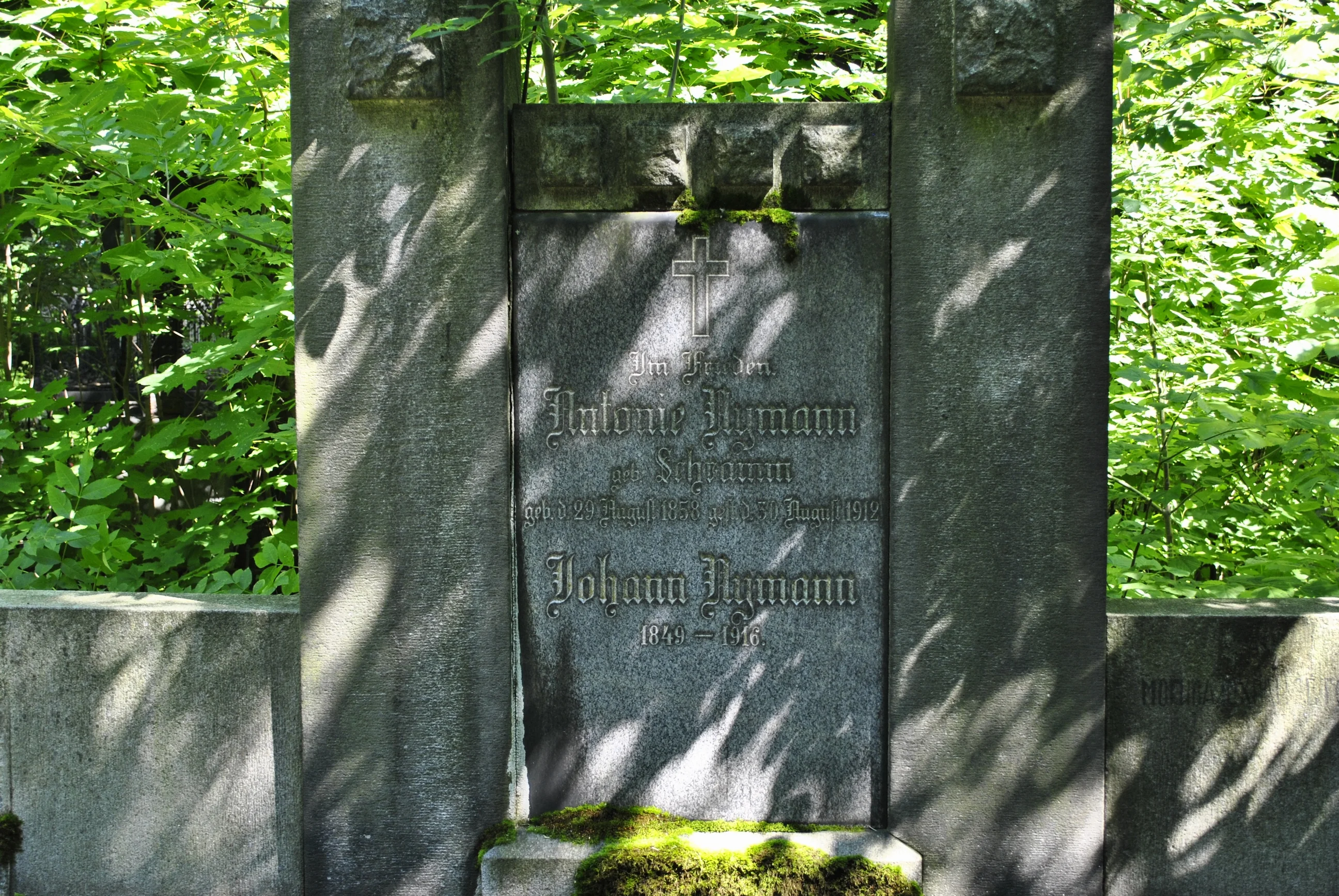 Antonie Nymann (Schtamm)
