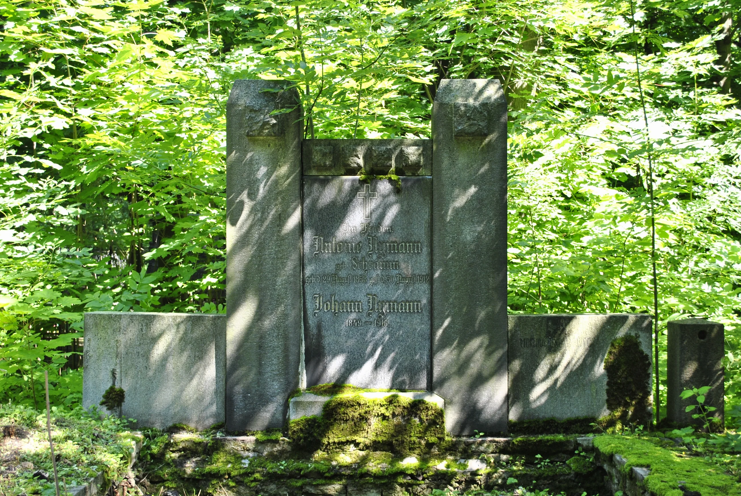 Antonie Nymann (Schtamm)