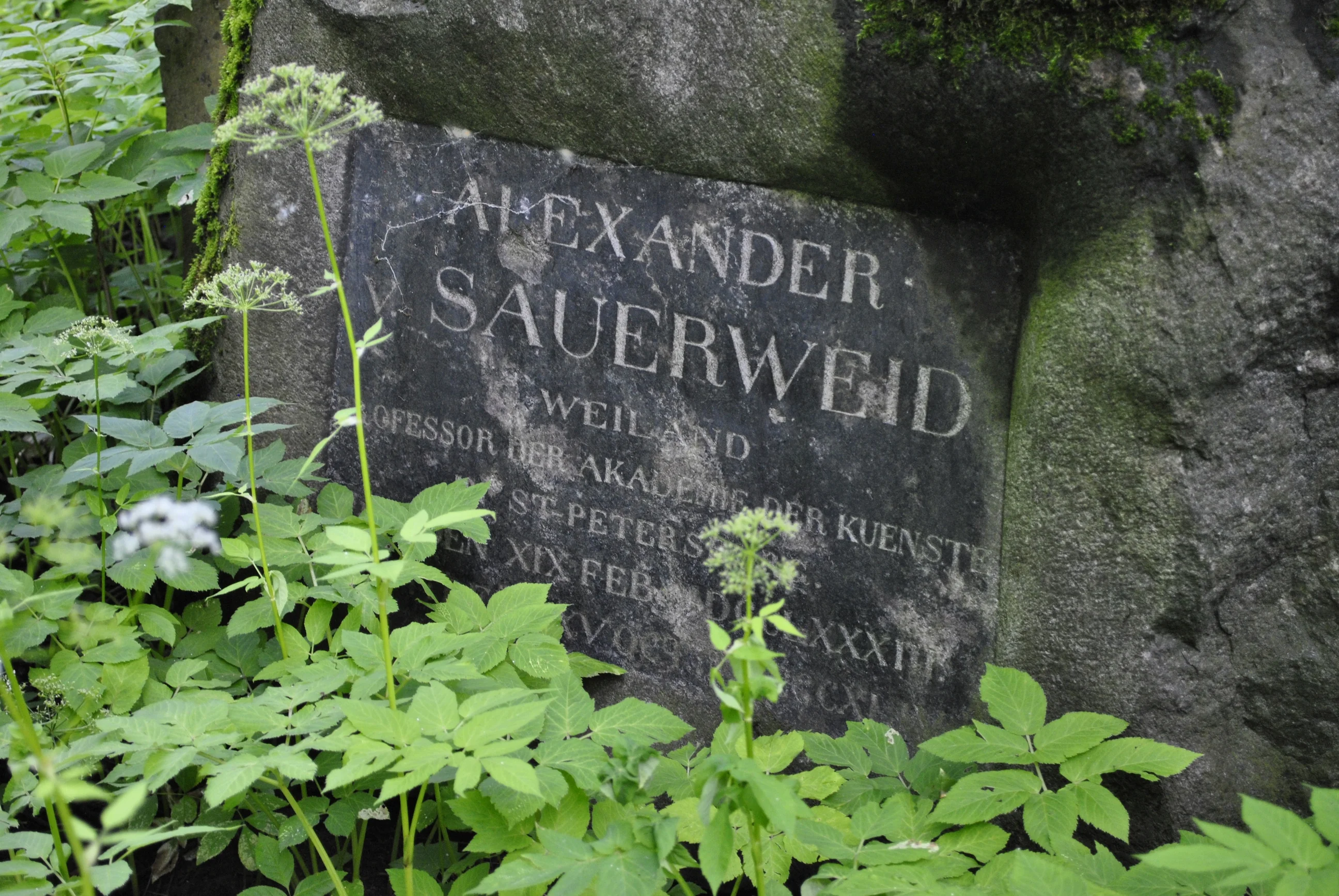 Alexander Saurweid