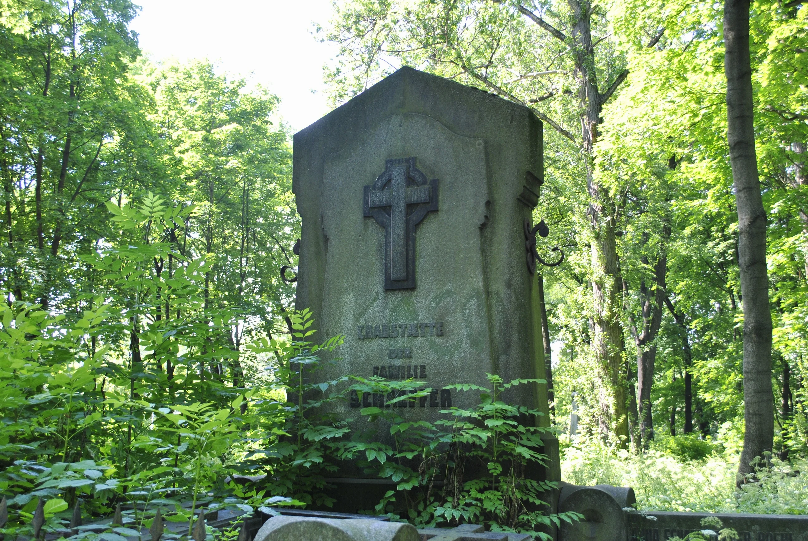 Anna Schaeffer