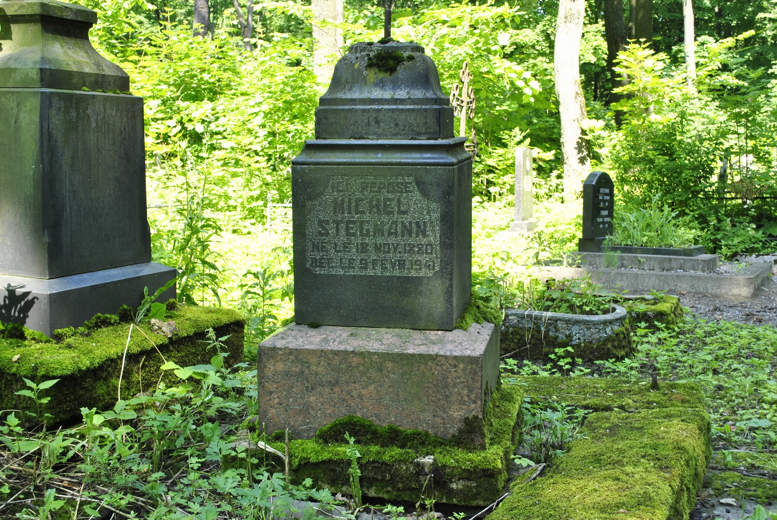 Michel Stegmann