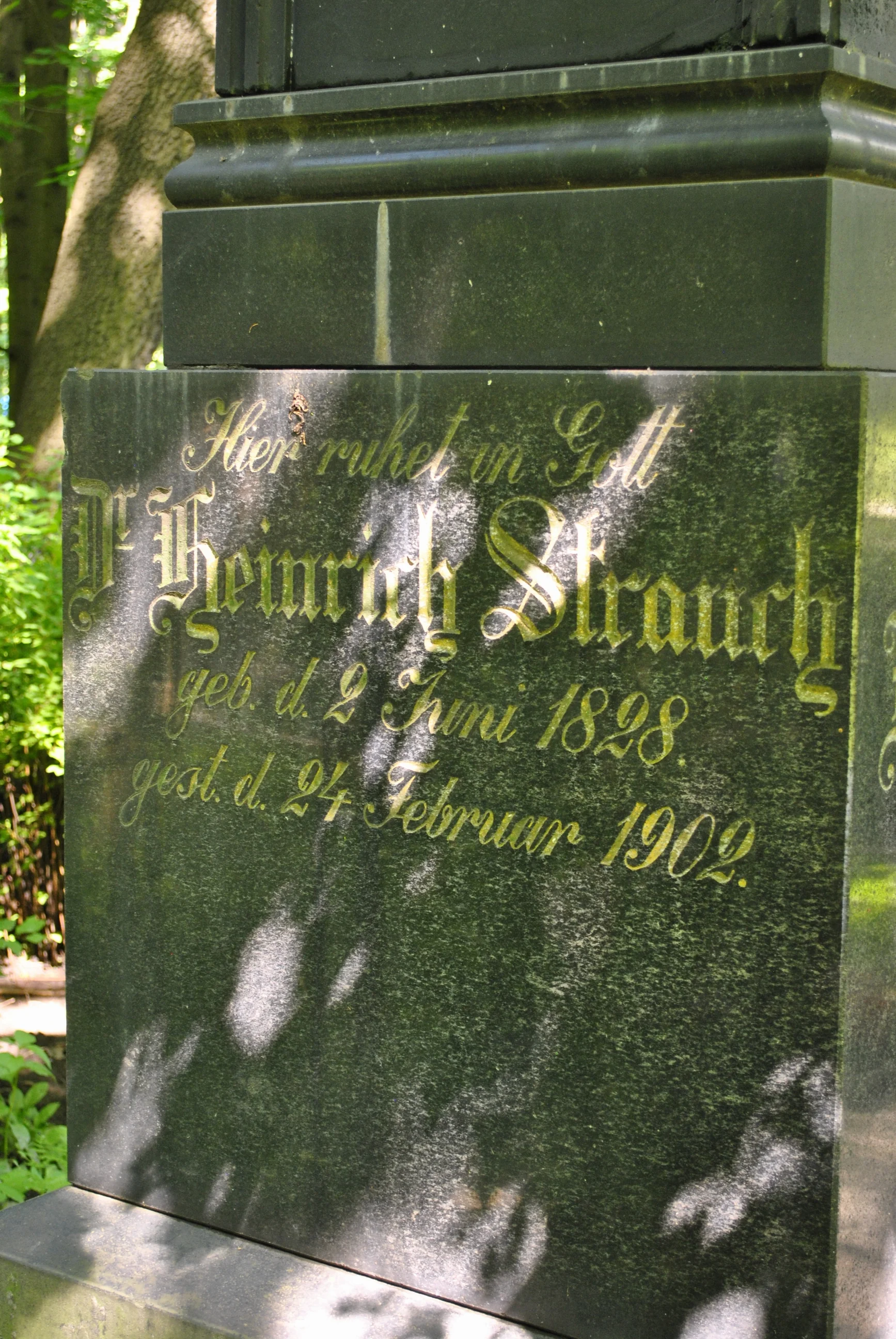 Friedrich Strauch