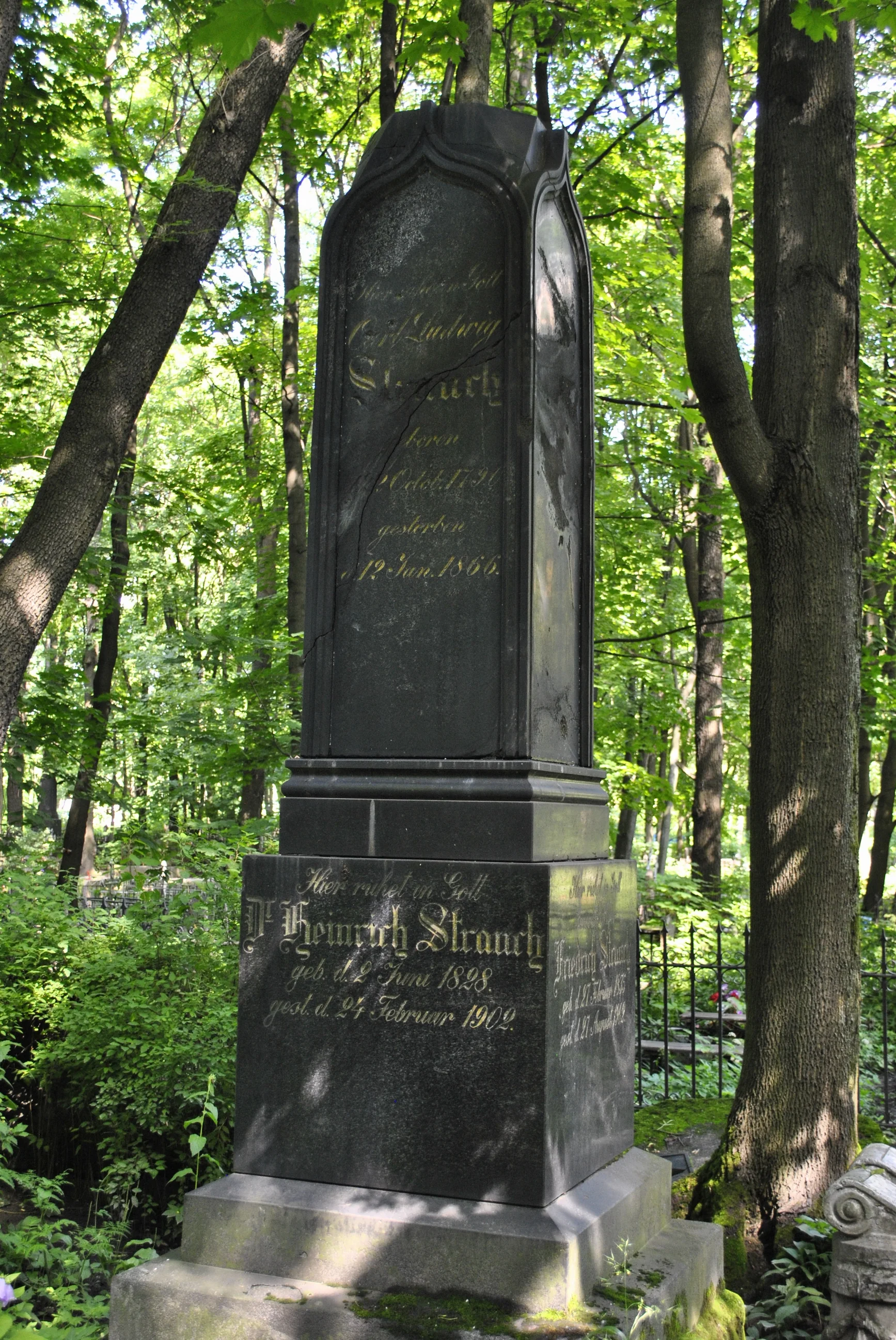 Friedrich Strauch