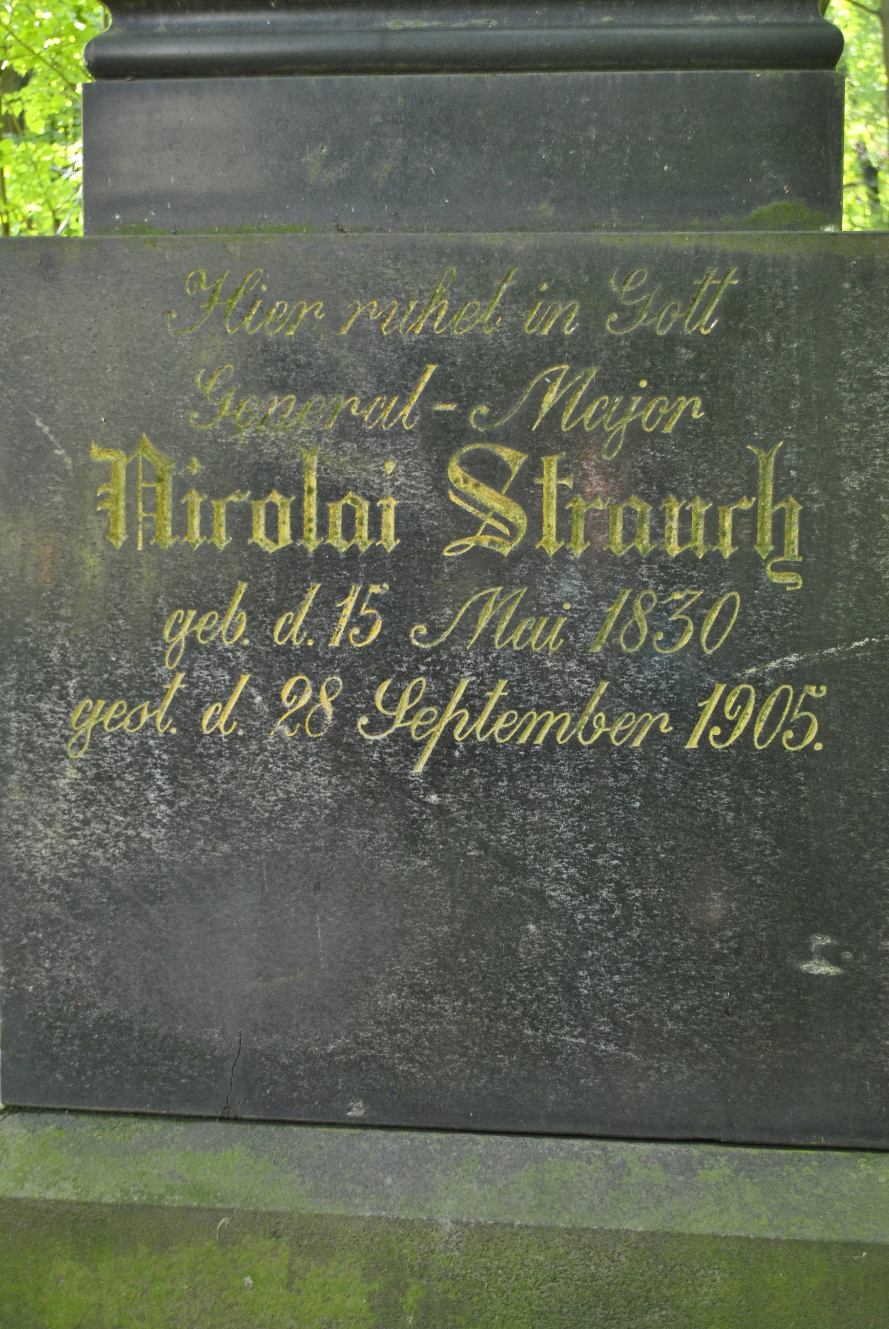 Friedrich Strauch