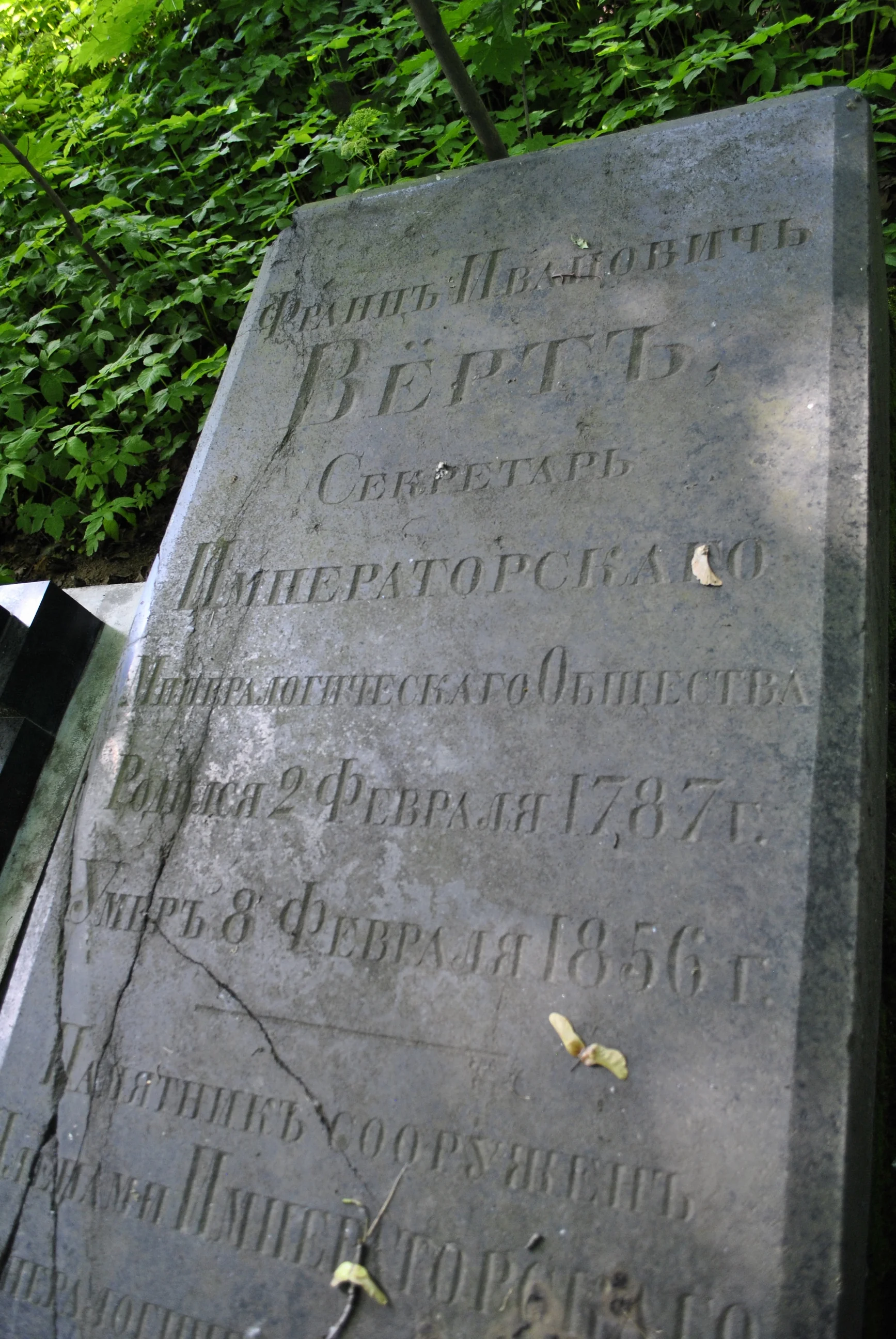 Franz Vert