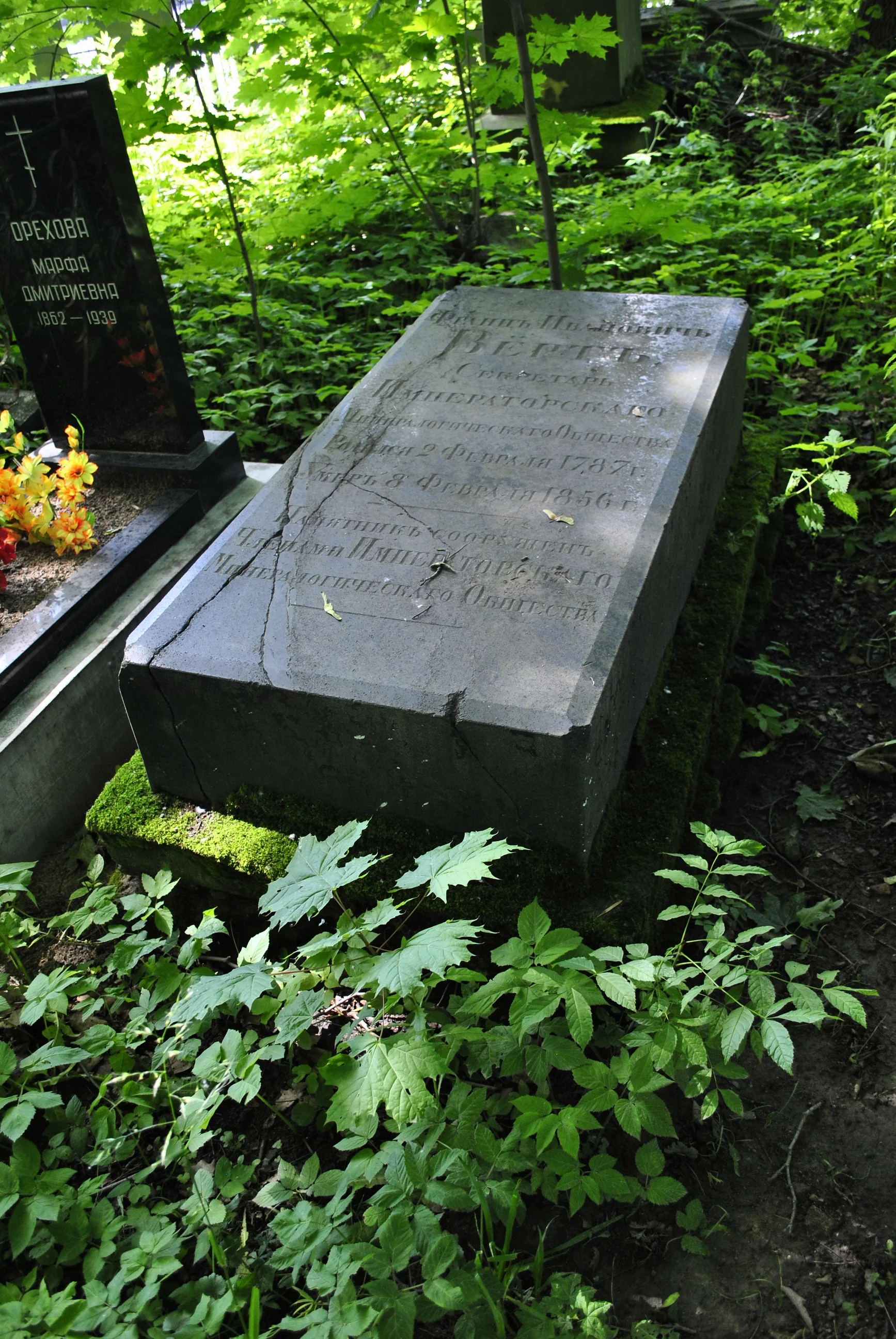Franz Vert