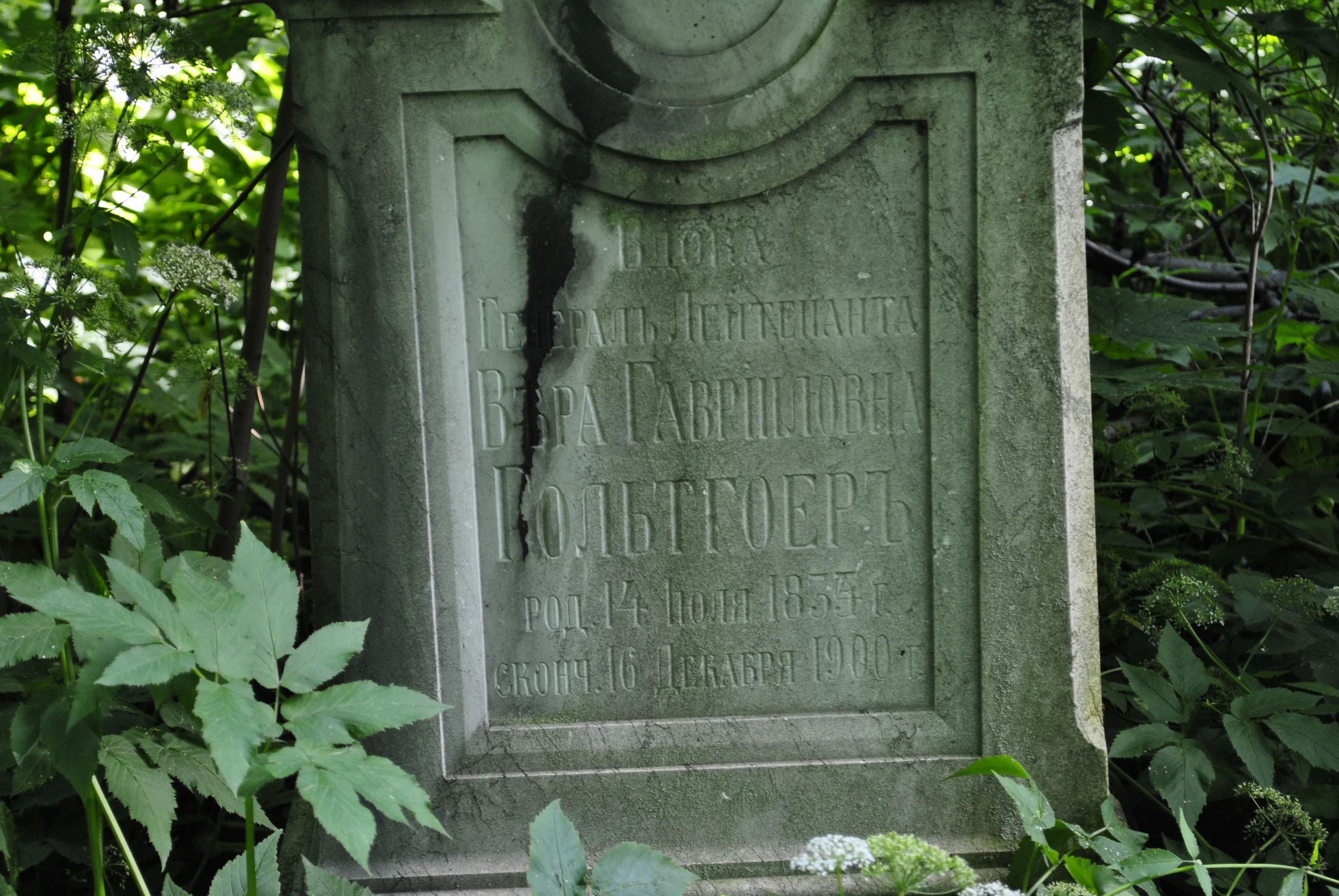 Vera Goltgoer