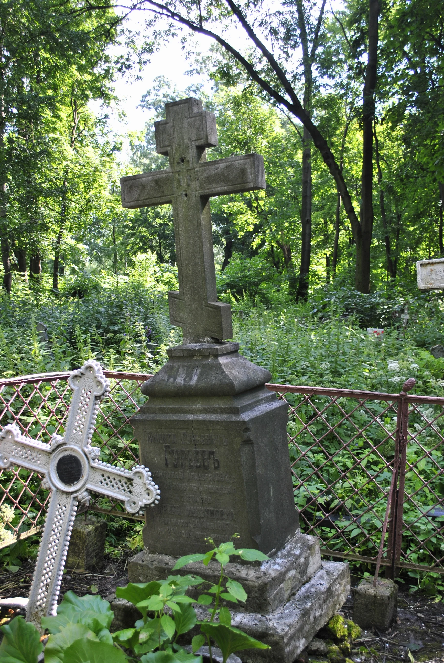 Nikita Guryev