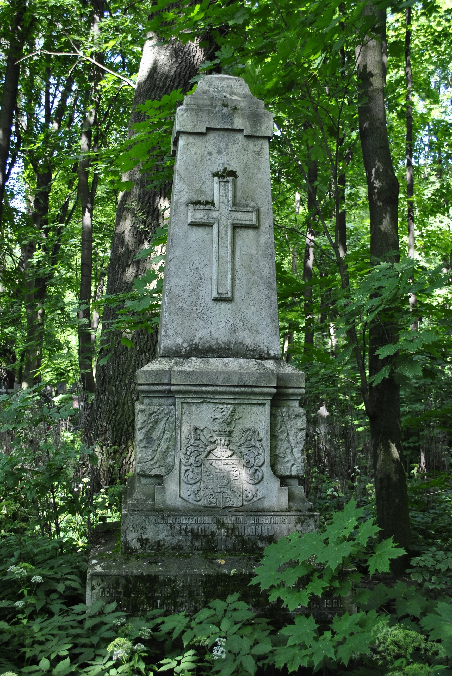 Mikhail Marcus