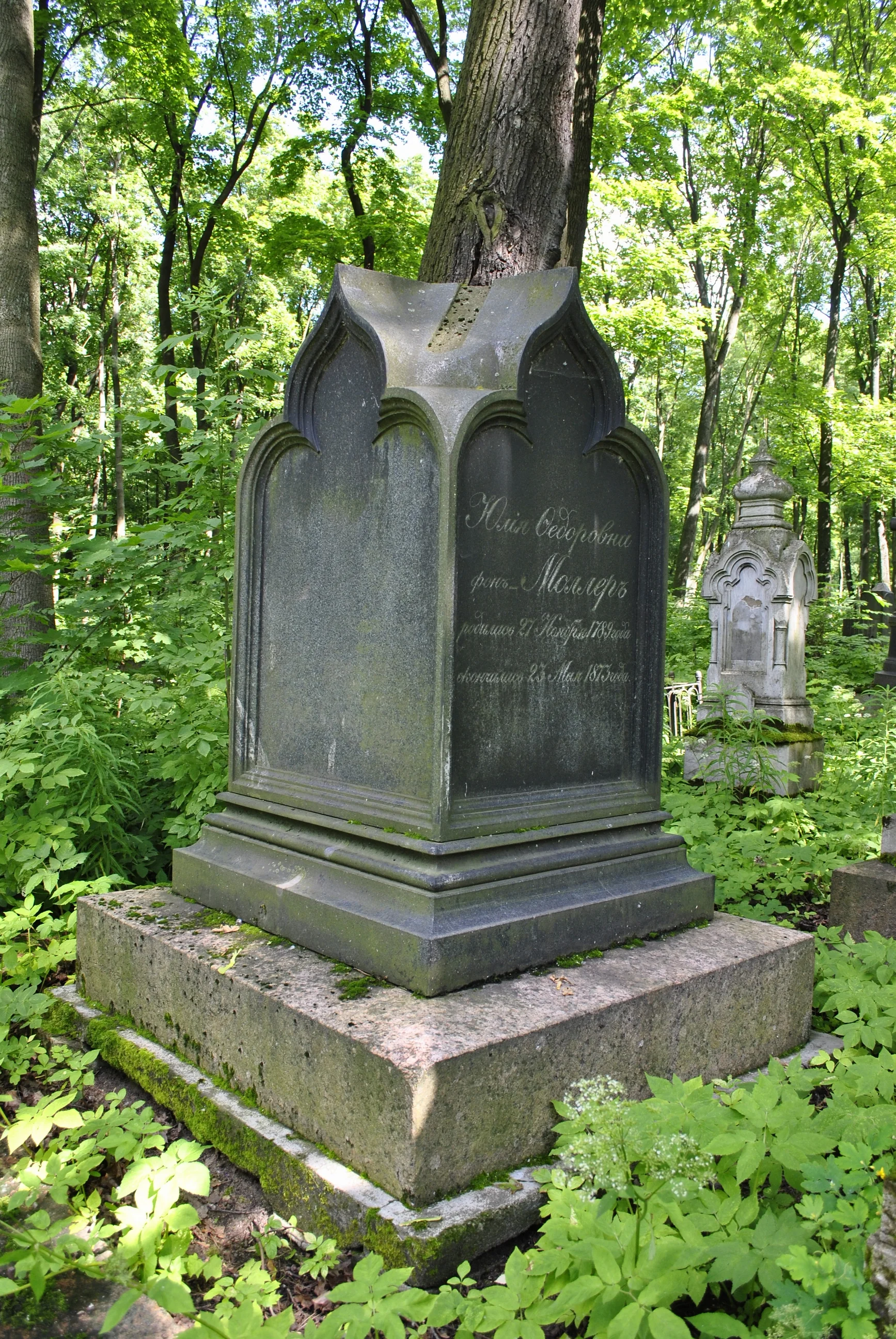 Julia Müller