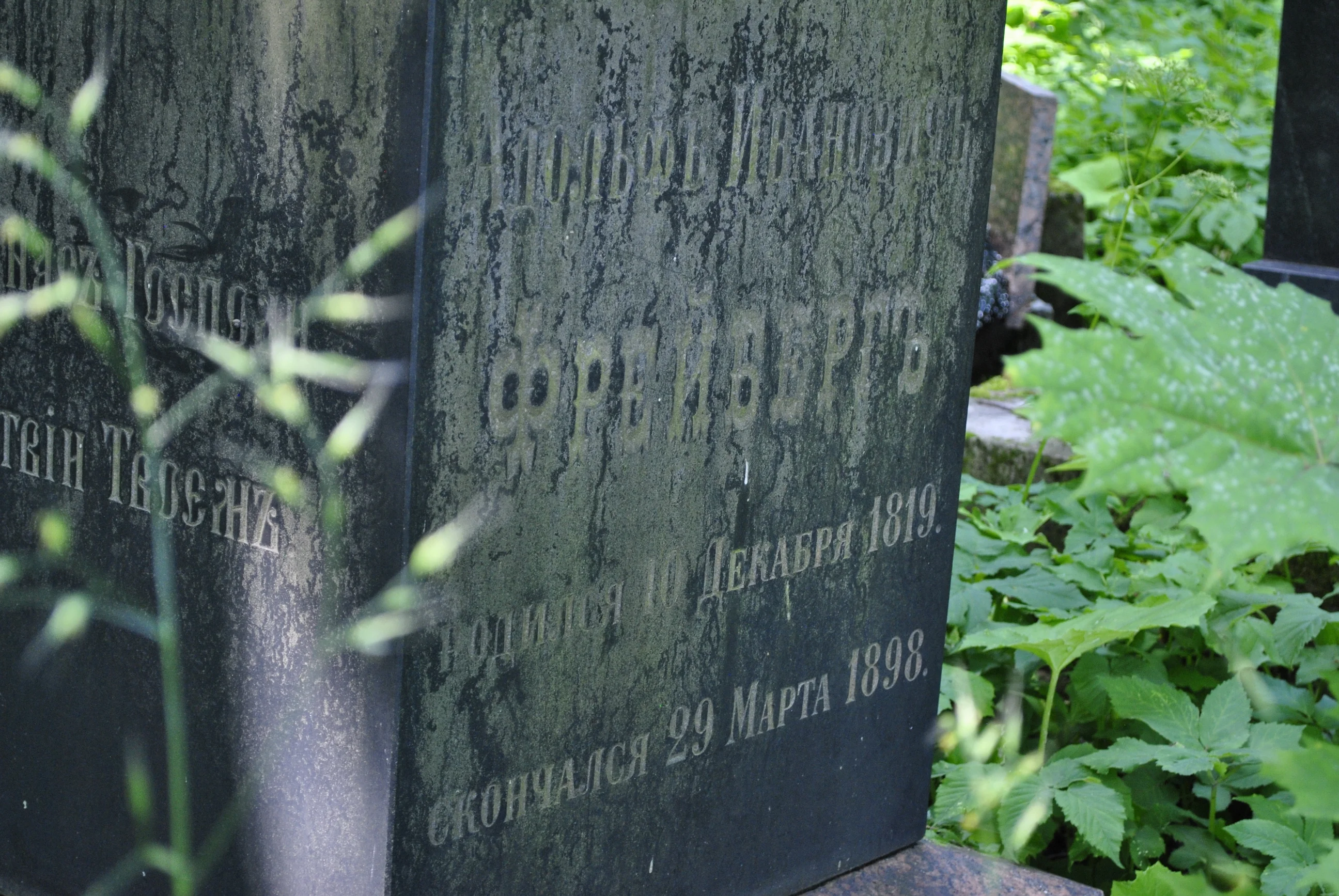 Adolf Freiberg