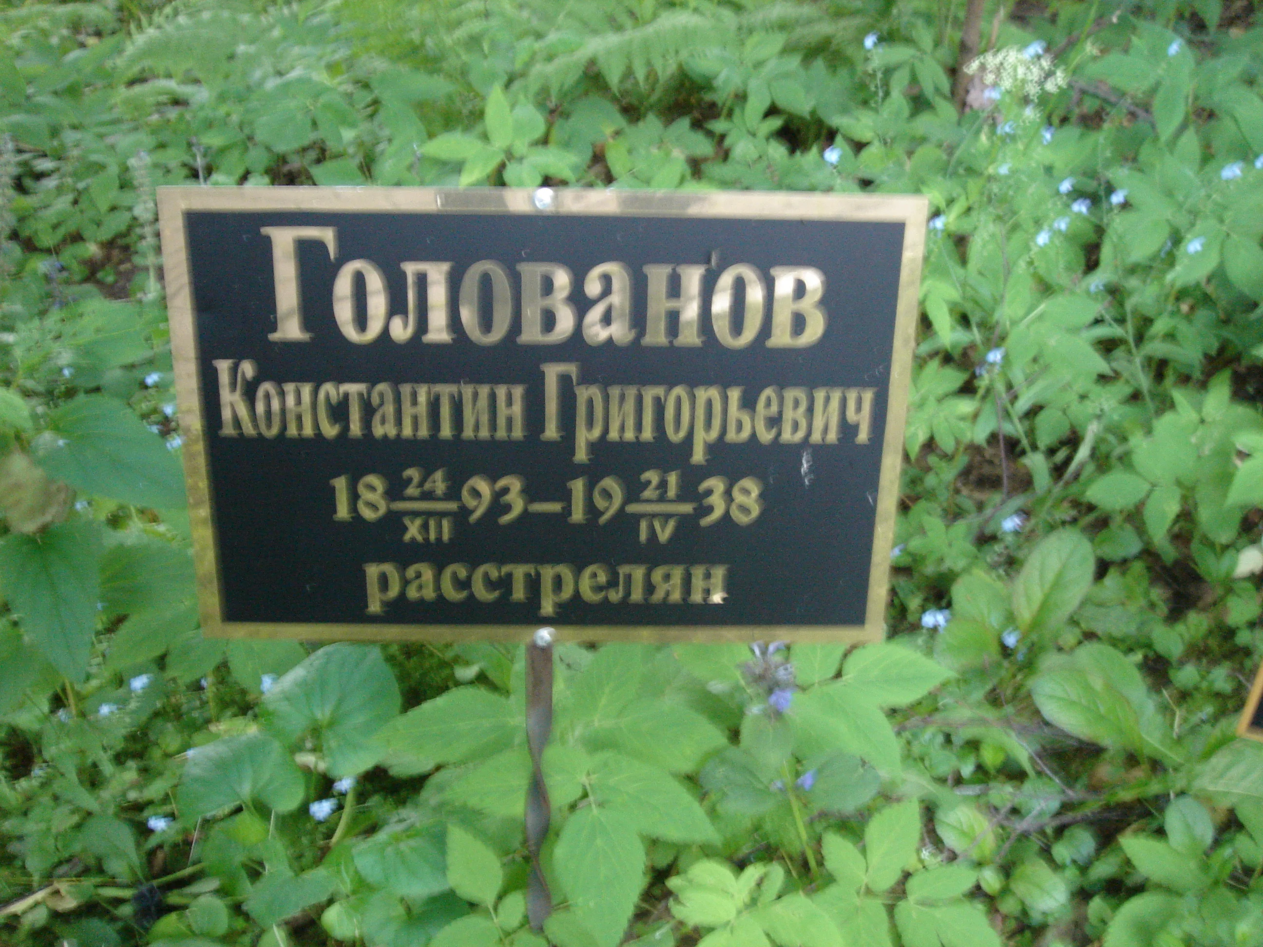 Konstantin Golovanov