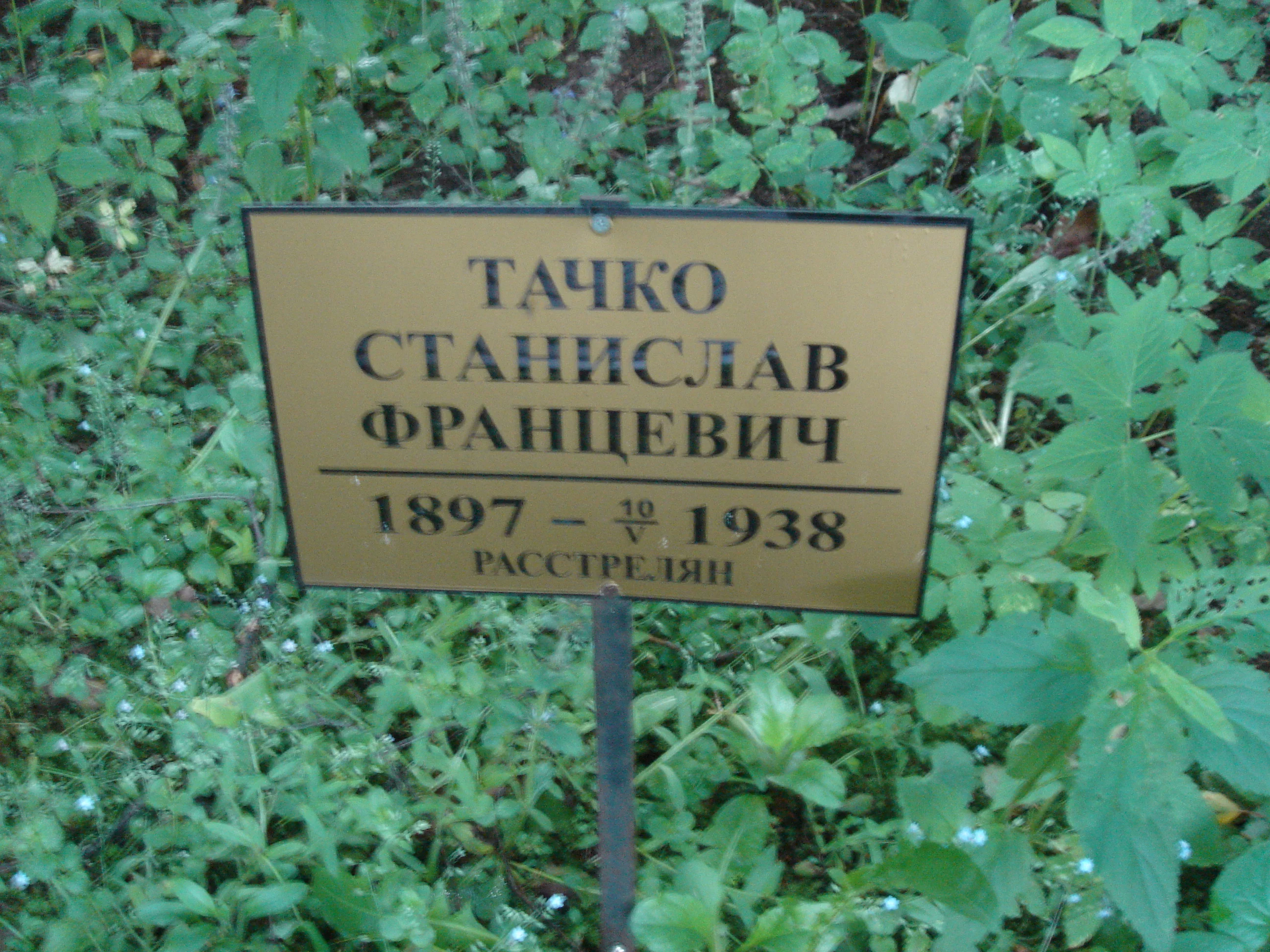 Stanislav Tachko