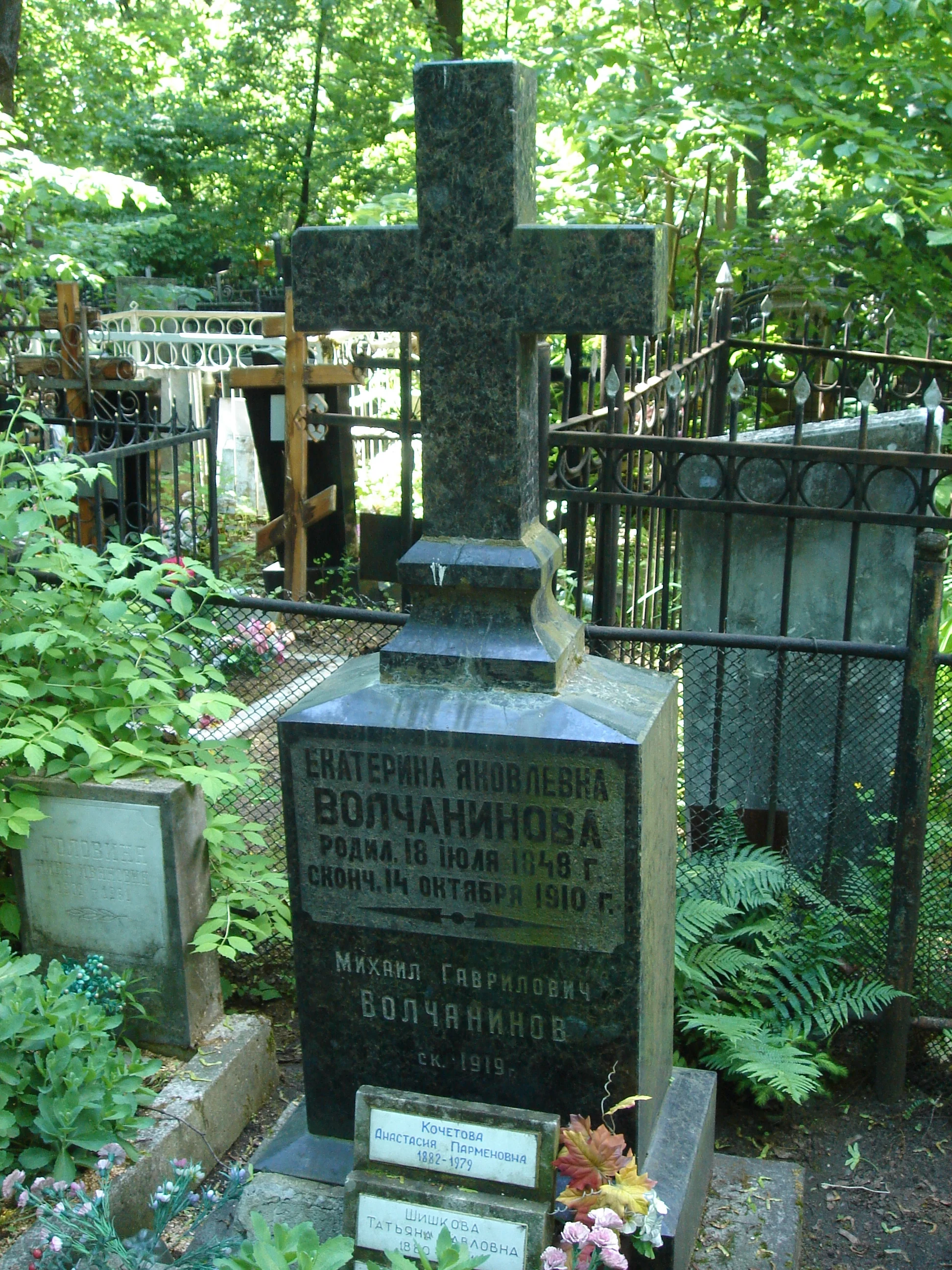 Catherine Volchaninovna