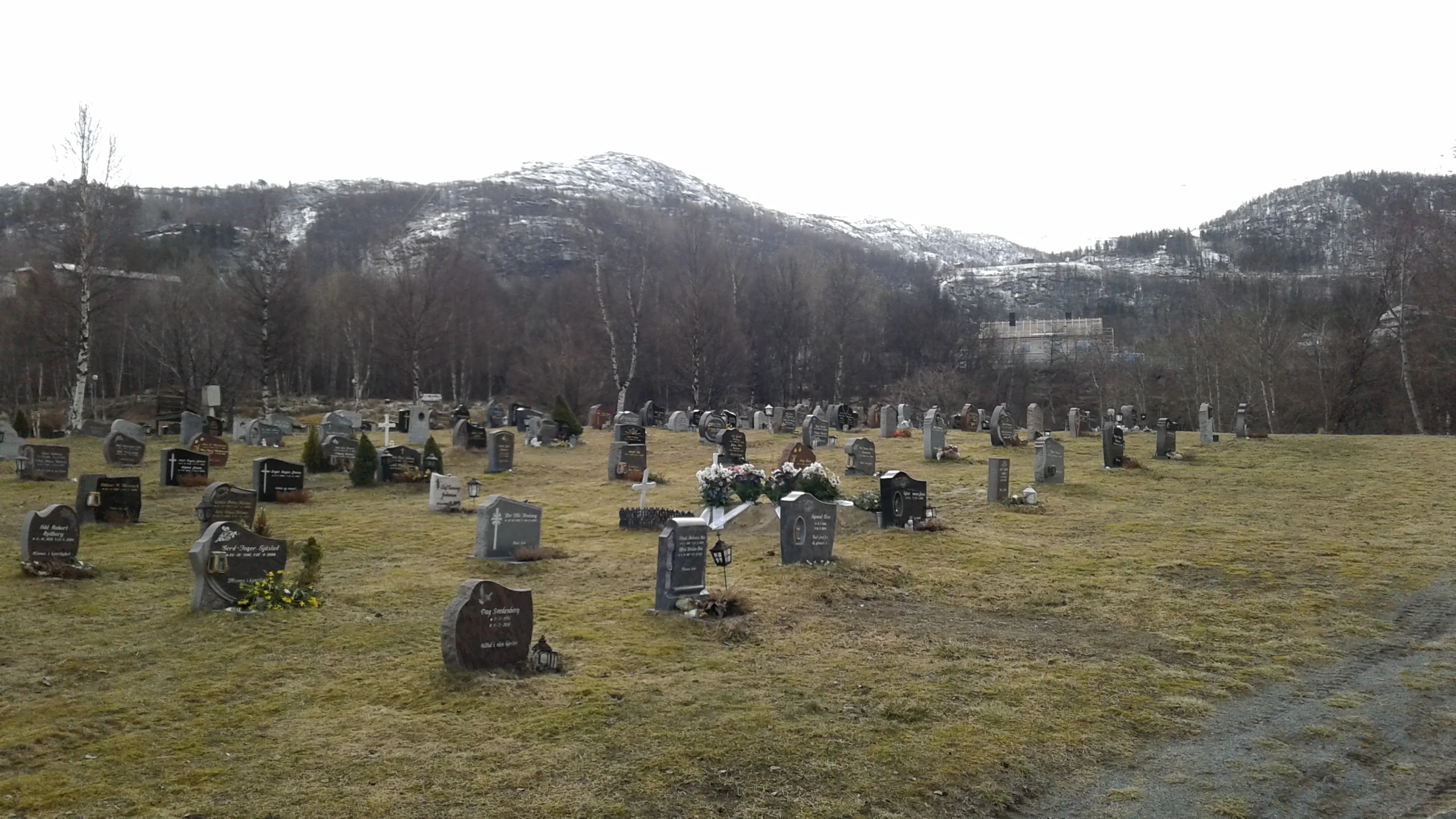 Arstein 