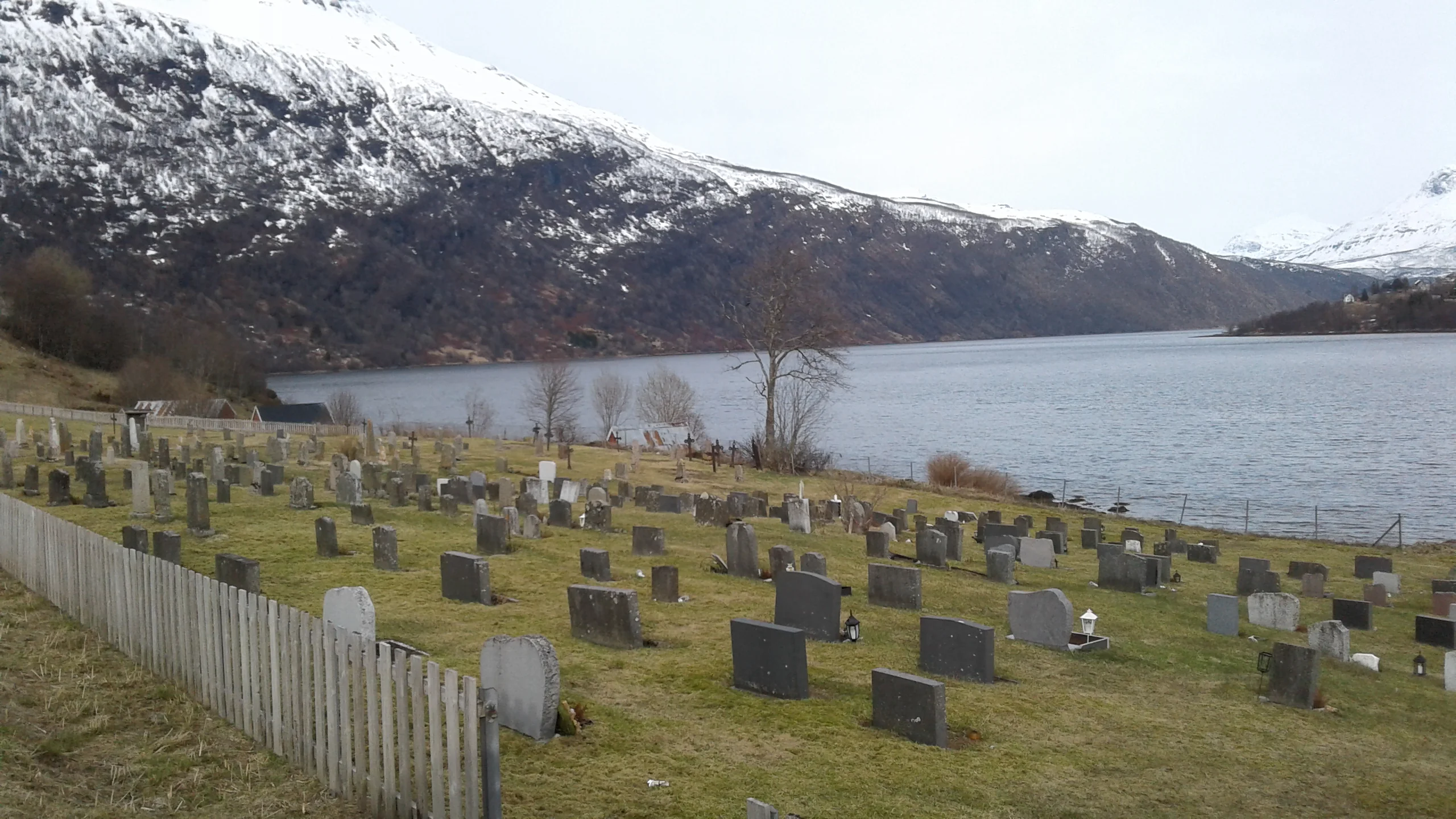 Arstein 
