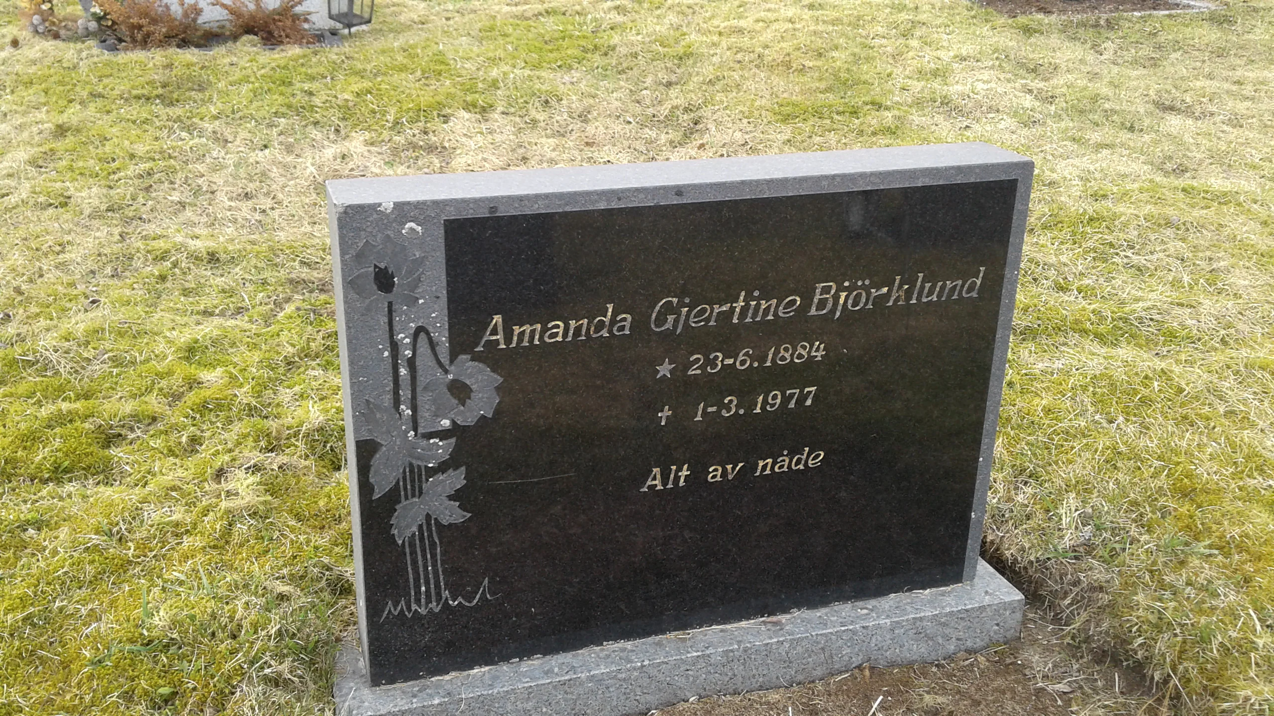 Amanda Bjorklund