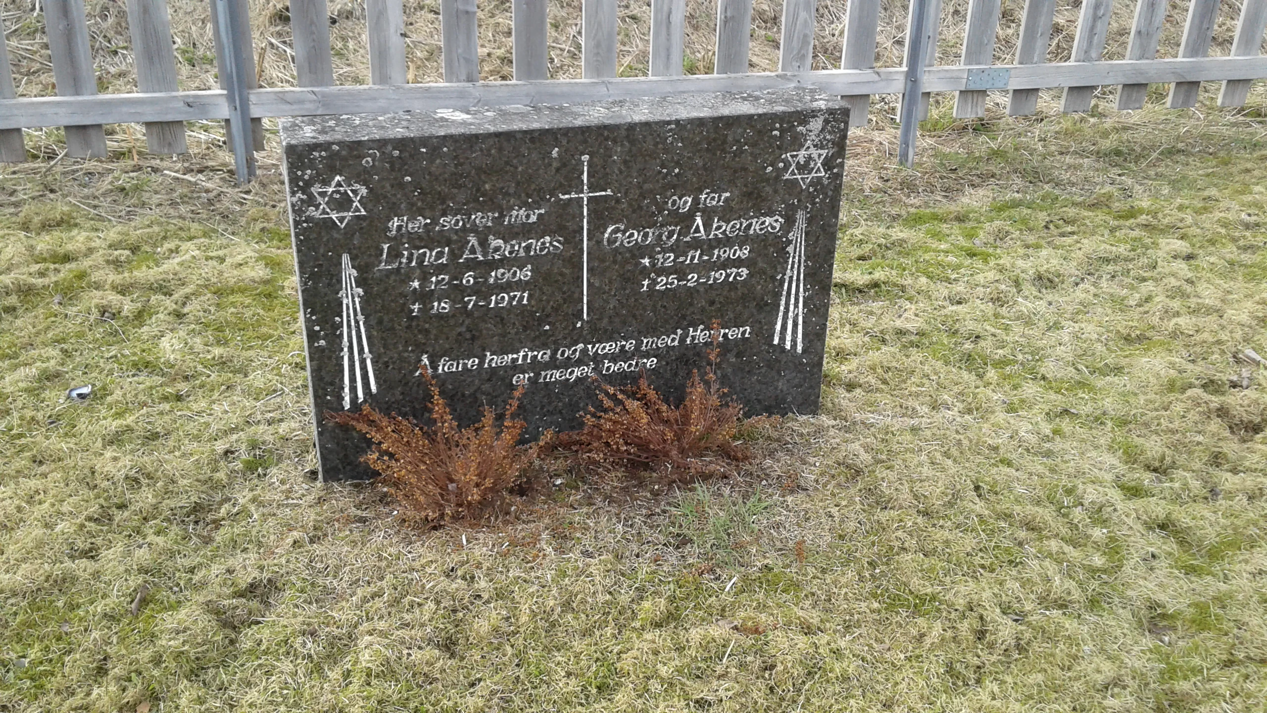 Lina  Arenes